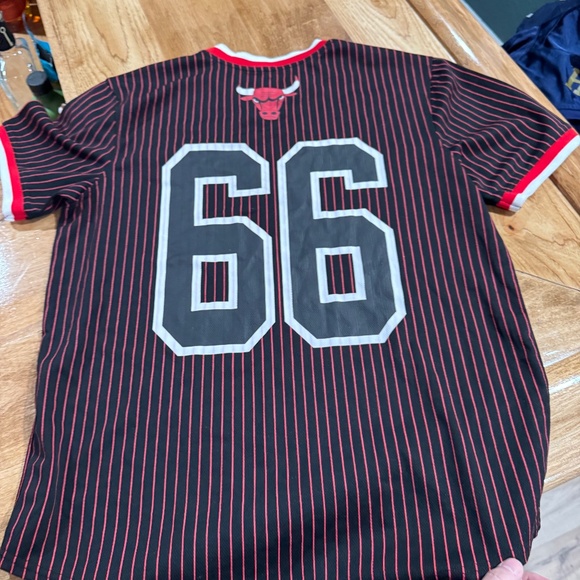 Vintage NBA Chicago Bulls #66 pullover Jersey Pinstripe Mens Large L by U - Picture 4 of 5